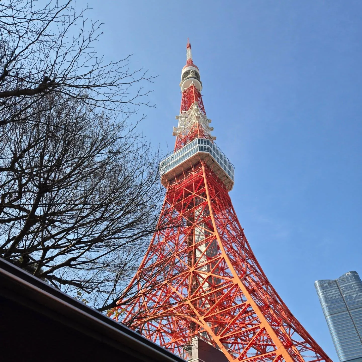 なんと、急遽「花の都」東京に行ってきました！理由は、秋庭商店...