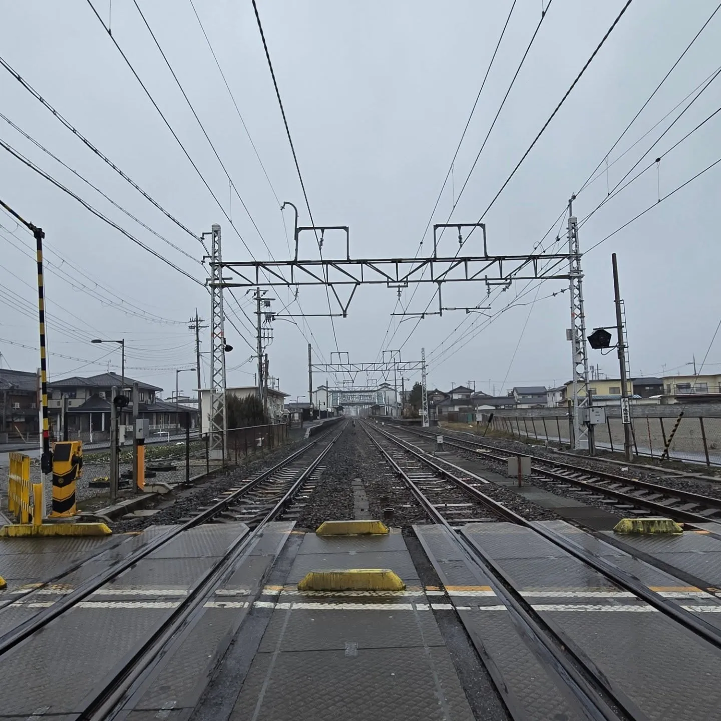 今日はまた雪が降りそうな冷たい天気ですね。