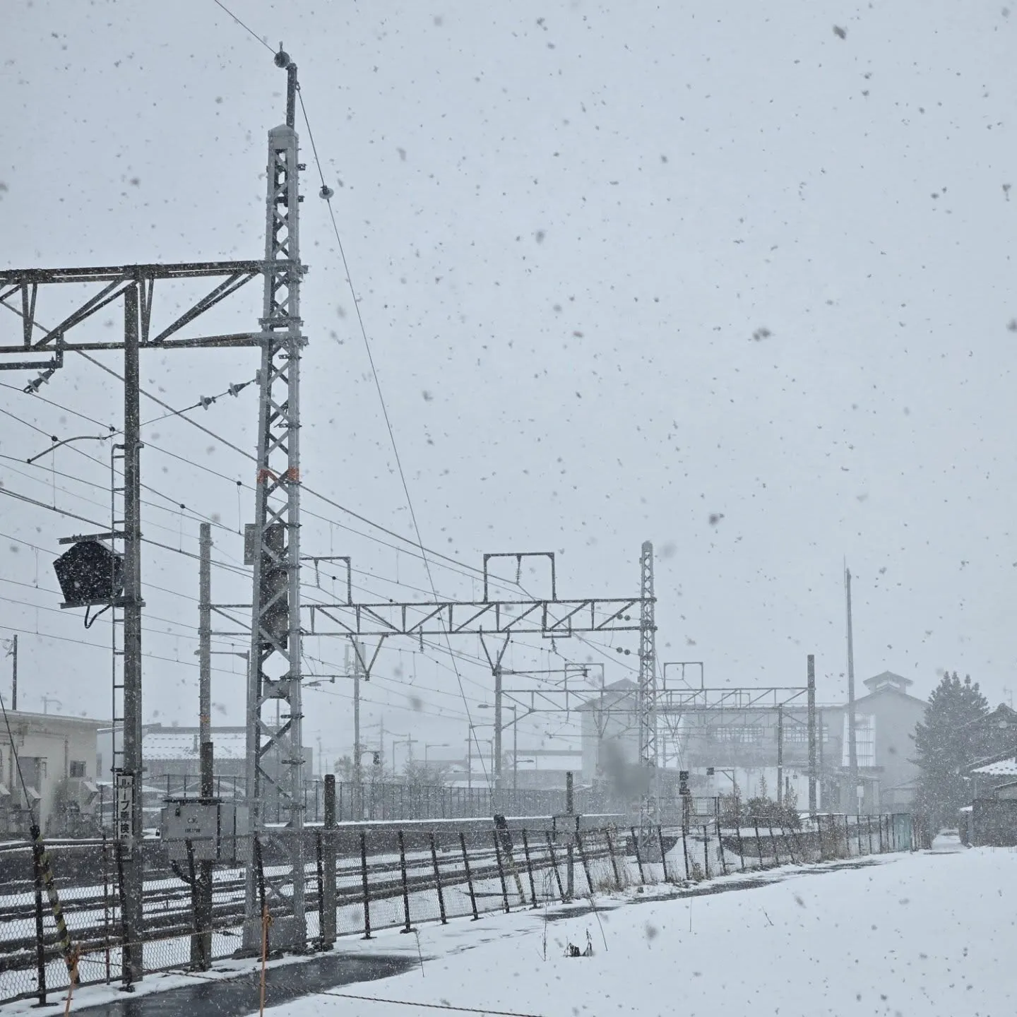 今日は思いもよらず、予定より一日早く雪が降り始めました。