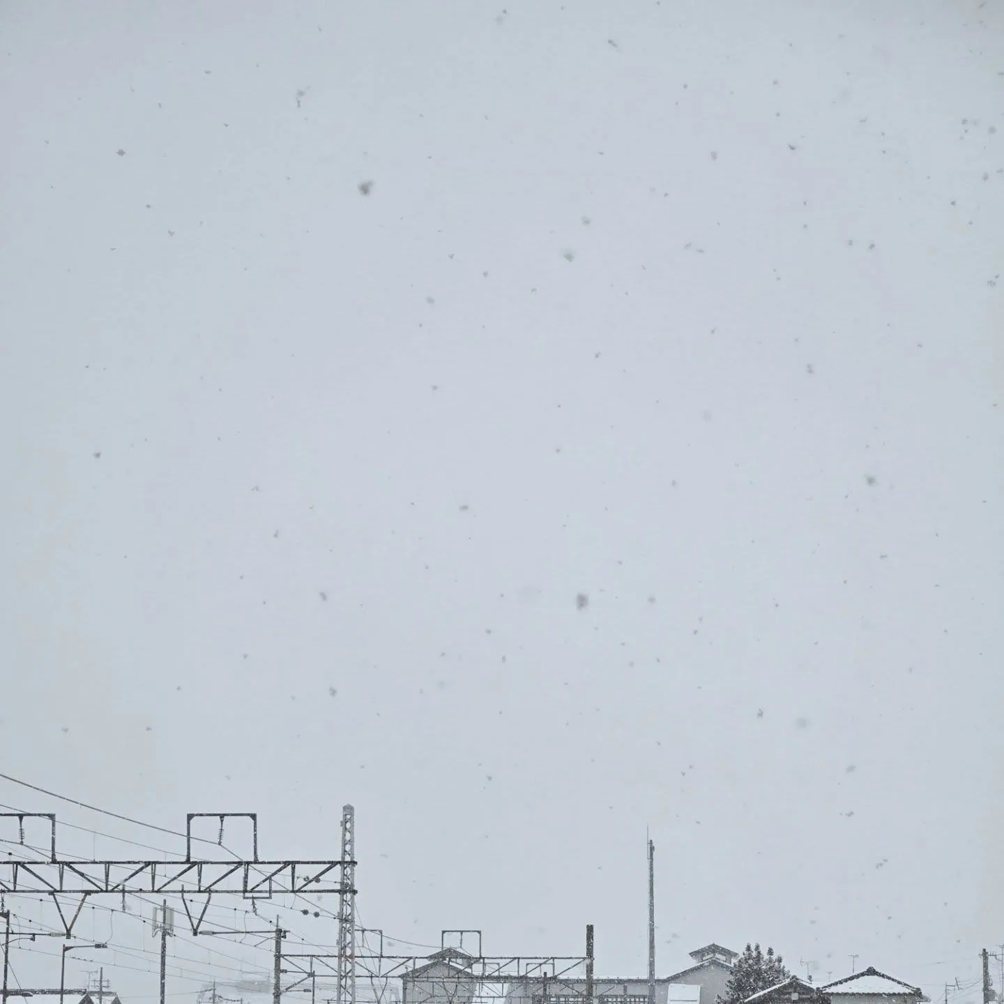 本日は雪が降っていますね。